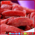 Geringe Kalorien Goji China Goji Goji Beeren getrocknet